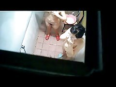 לונה המגבר; חברים 483