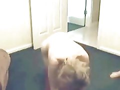 לעזאזל עם סטודנטים