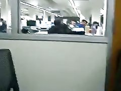 ספריית ממשש על ידי loyalsock